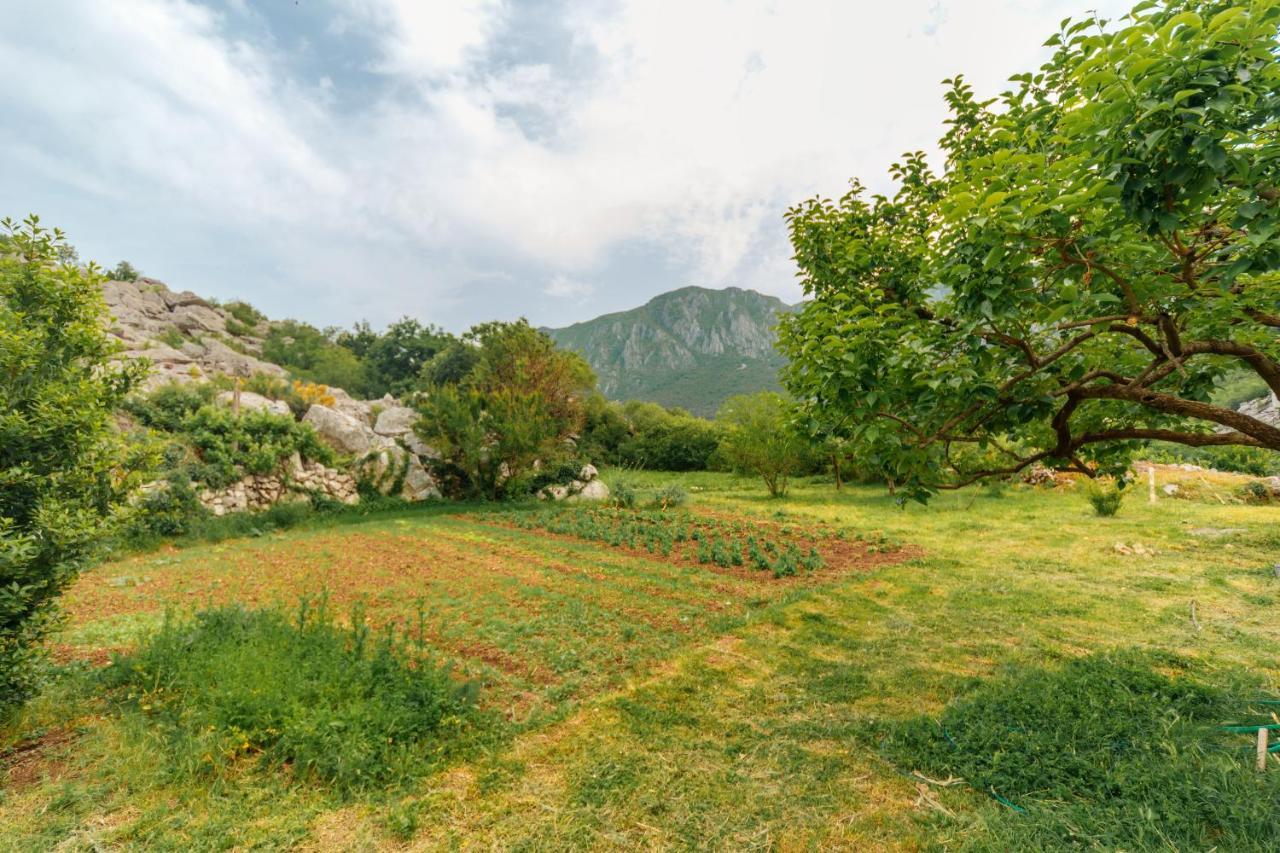 Apartments Econature Virpazar Exterior photo
